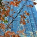 20111101 163344 Lysenko Canada