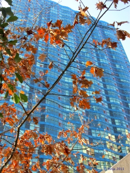 20111101 163344 Lysenko Canada