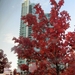20111101 180214 Lysenko Canada