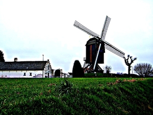 2015_03_28 Roosdaal 08