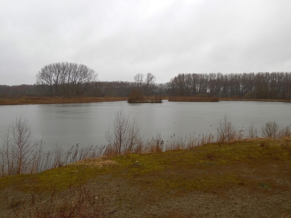 38-Middenvijver langs Antwerpse Linkeroever