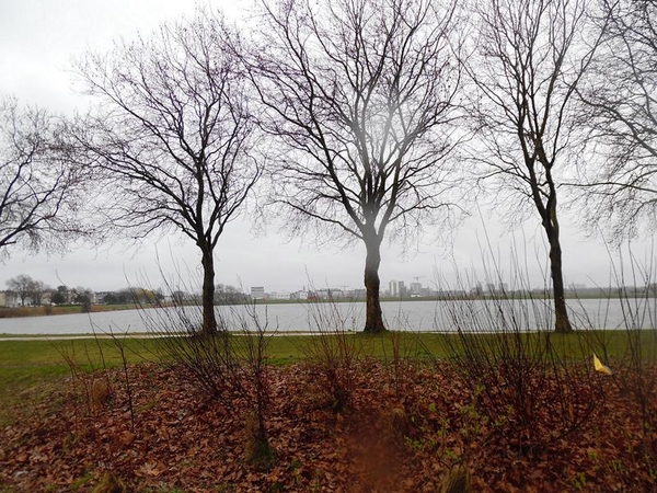 54-Linkeroever Antwerpen