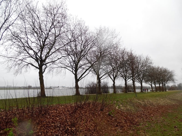 55-Linkeroever-Antwerpen