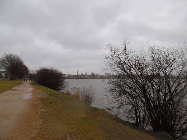 58-Zeilvijver-Galgenweel