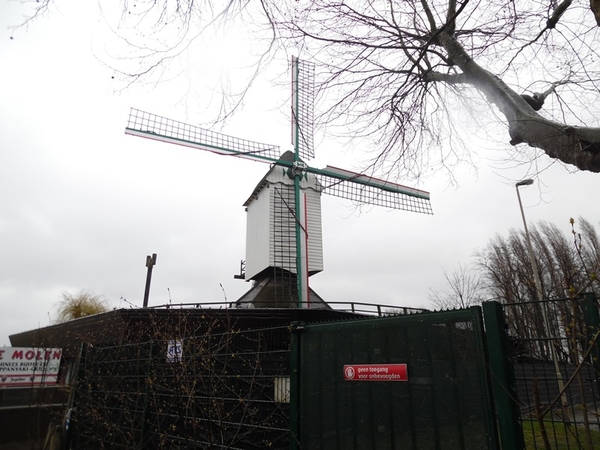 91-De Molen aan Linkeroever-Antwerpen