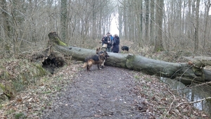 hindernis op het parcours