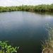 127 Everglades