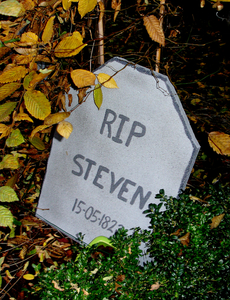 RIP Steven