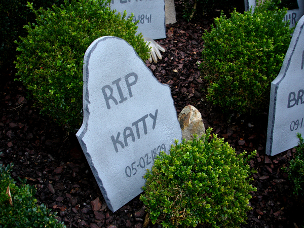 RIP Katty