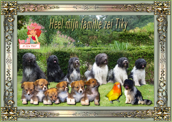 heel mijn familie van timy