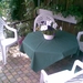 in onze tuin