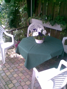 in onze tuin