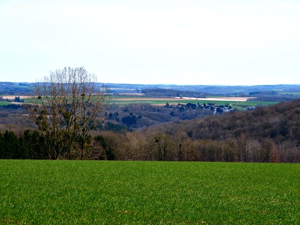 marche adeps anthe