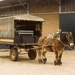 Frans Maas Paarden Tractie