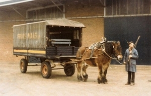 Frans Maas Paarden Tractie