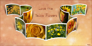 Filmstrip-3D-Bloemen
