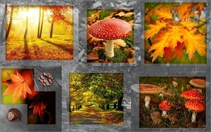Herfstcollage, een leuke les van Jumbojet