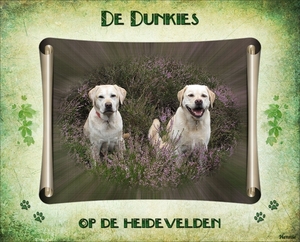 De Dunkies van Elly op de heidevelden