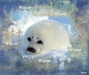Winter, les 8 van Lynne met template