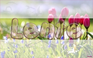 Lente, les waterdrupeffect-mrt-2015