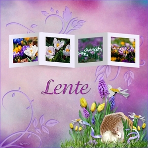 Lente,  Les van jumbojet