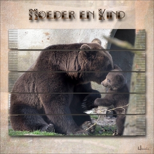 Moeder en Kind ( foto: Henk Gerber)