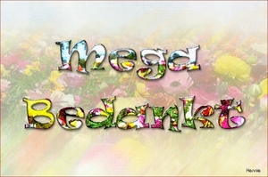 mega-bedankt