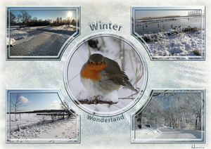 winter-1000px-elly-mock-up05