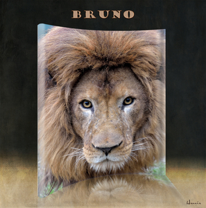 Bruno-st-Leeuw-mu-kader palson andere schaduw00-1000px