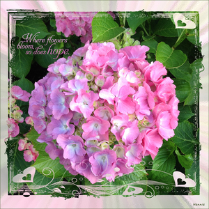 mldesign_masklove-hortensia-1000px