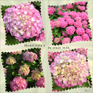 hortensia's-dockske-mask-4-vierh-1000px