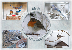 birds-in-winter-elly-mock-up05-1000px