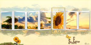 2017 lesje nr 4 template-zonnebloem