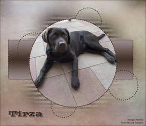 Tirza-Misfit Choice 2 by Sue-Renard