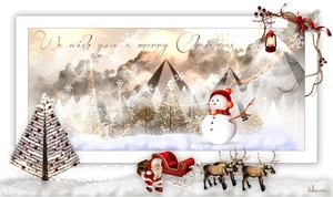 Kerst-2014-Li-850