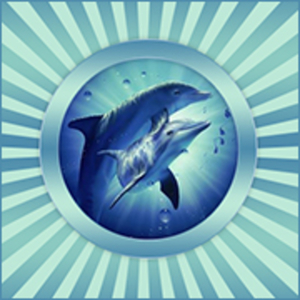 fb-playing-dolphins-profiel-180