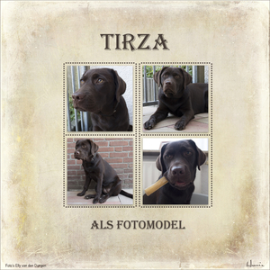 Tirza-thuis-templ-2-Mamen