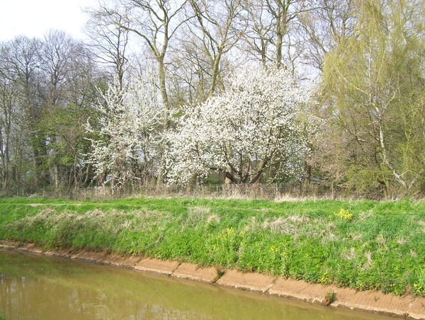 Onuitgegeven wandeling - 16 april 2015