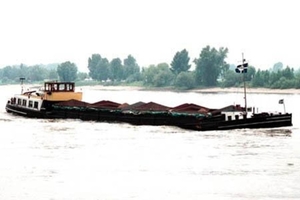 Rhea%20Silvia%203150175