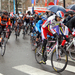 Dwars door Vlaanderen-25-3-2015