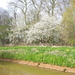 Wandeling naar De Roos - 23 april 2015
