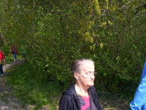 Wandeling naar De Roos - 23 april 2015