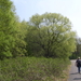 Wandeling naar De Roos - 23 april 2015