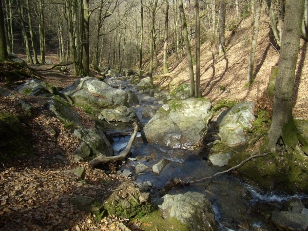 2015-04-10 KKT WE Banneux vr  (47)