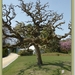 sized_P1140517