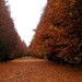 Herfst-Blekerijstraat-Roeselare(oud Kerkh.)