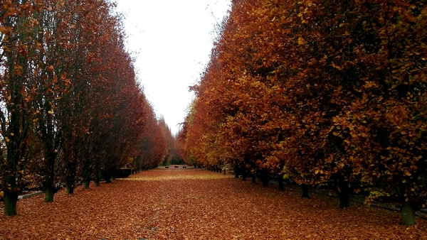 Herfst-Blekerijstraat-Roeselare(oud Kerkh.)