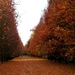 Herfst-Blekerijstraat-Roeselare(oud Kerkh.)