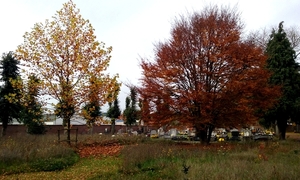 Herfst-Blekerijstraat-Roeselare(oud Kerkh.)