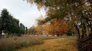 Herfst-Blekerijstraat-Roeselare(oud Kerkh.)